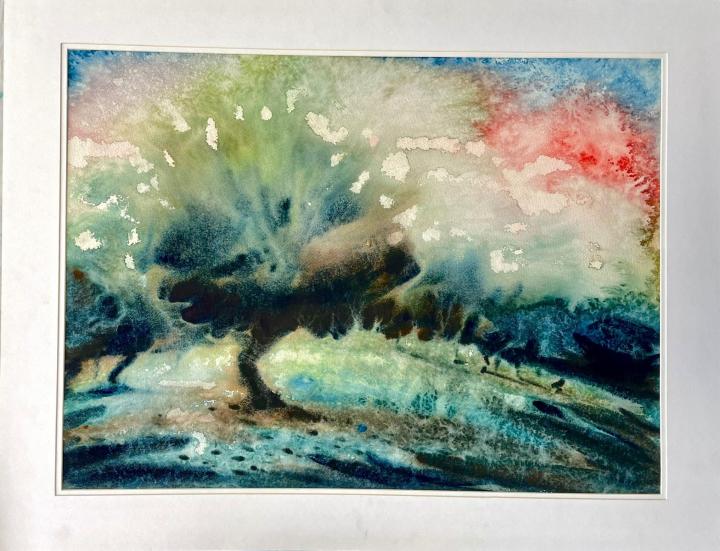 Custom Framing Montreal