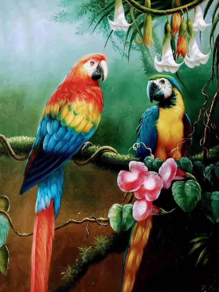 Personalized Framing Montreal