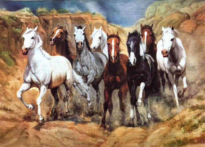 Custom Framing Montreal