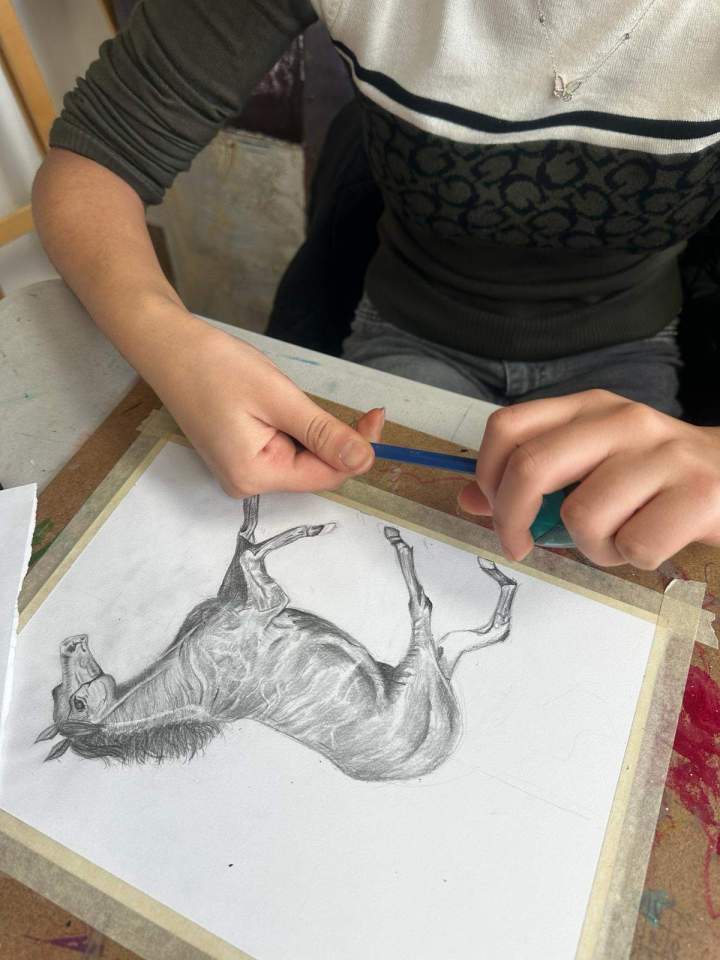 WhatsApp Image 2024 07 04 at 31732  d1f6